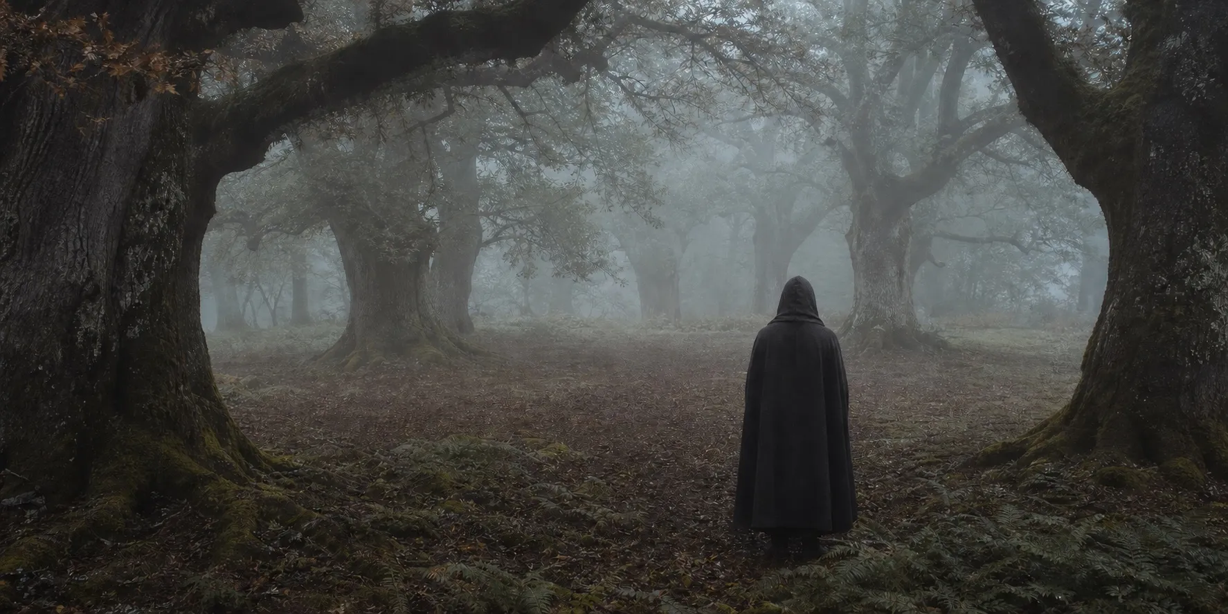 A hooded figure standing among ancient oak trees in a misty nemeton